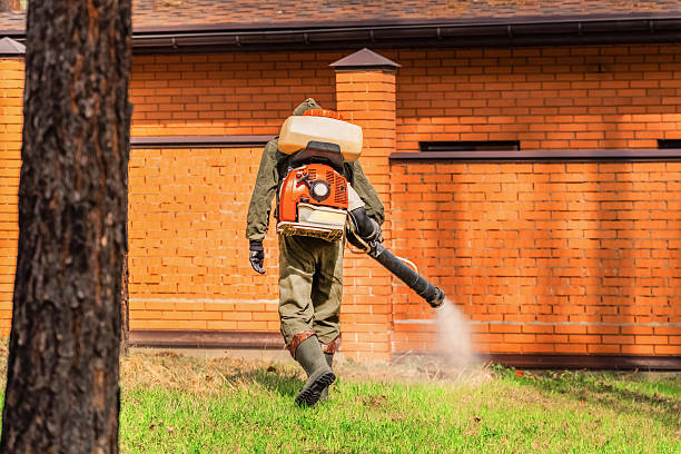 Trusted Emergency Pest Control service in Youngsville, PA - Nex Pest Control